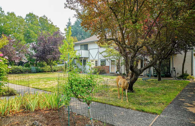 Two bedroom Townhouse near Ashland Community Hospital photos photos
