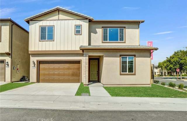 102 Pansy photos photos