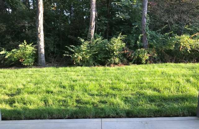 715 Wintergreen Way Gallery 4