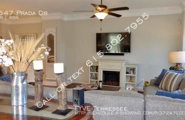 5547 Prada Dr Gallery 2