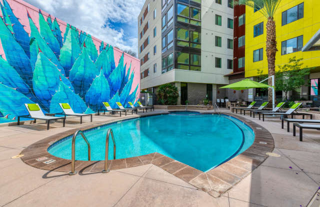 Agave 350 photos photos Agave 350 photos photos