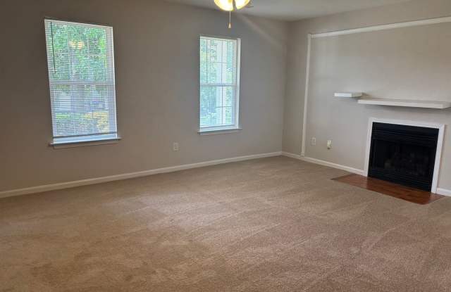 1426 Peach Park Ln Gallery 4