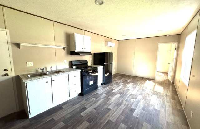 Brand new Efficiency 1 BR mobile home with large bonus room Gallery 3