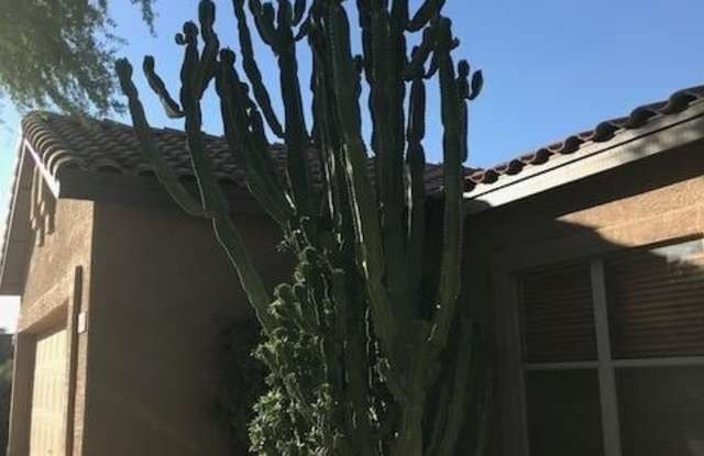 4118 E PINTO Lane Gallery 3