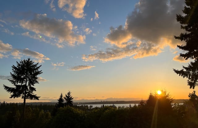 4507 105th Ave NE - 4507 105th Avenue Northeast, Kirkland, WA 98033