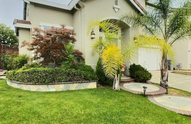 Beautiful 4 Bedroom/2.5 Bathroom House in the Cambrian Neighborhood photos photos