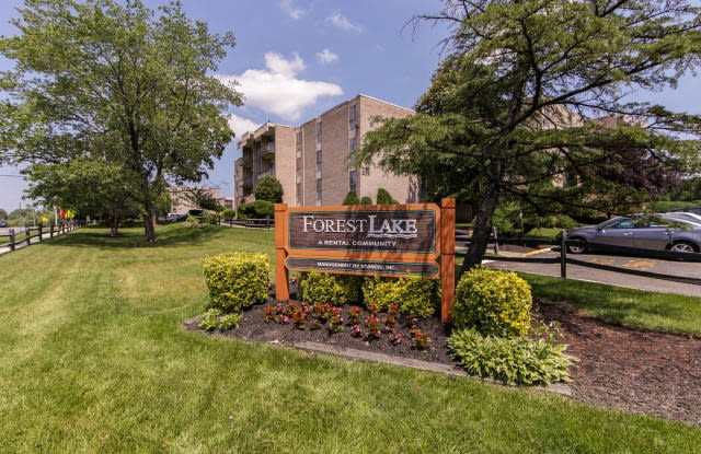 Forest Lake photos photos