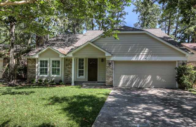 24 Edgewood Forest Court - 24 Edgewood Forest Court, The Woodlands, TX 77381