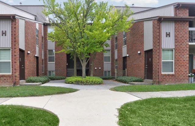 Springford photos photos