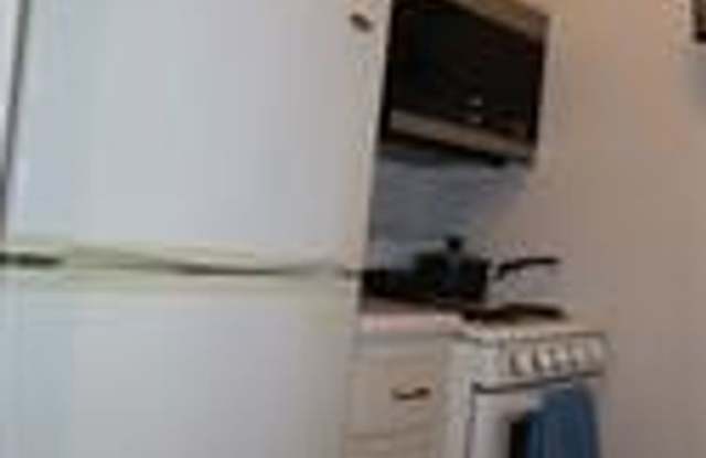 Super Cute, Tastefully Furnished, Hyde Park Condo Gallery 3