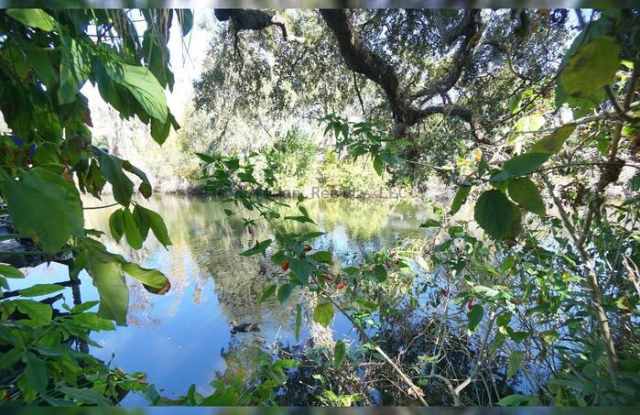 1424 East Park Circle - 1424 East Park Circle, Tampa, FL 33604