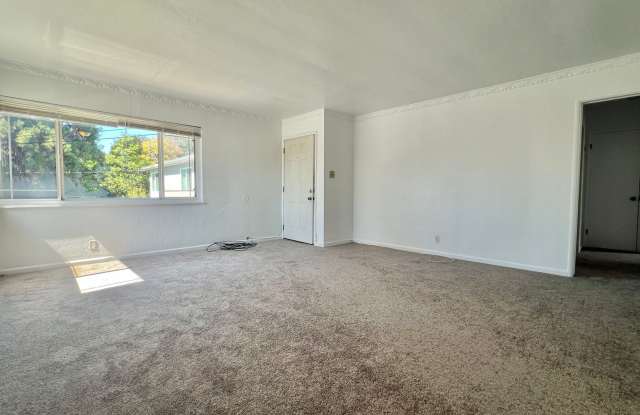 Triplex - Upstairs unit - Large 2bd 1ba located in Maxwell Park photos photos
