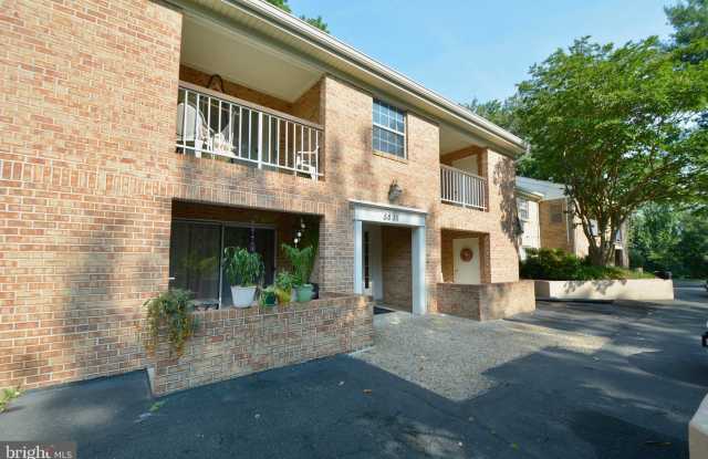 5835 COVE LANDING ROAD Gallery 4