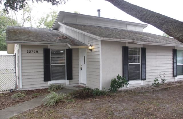 22729 PENNY LOOP - 22729 Penny Loop, Land O' Lakes, FL 34639