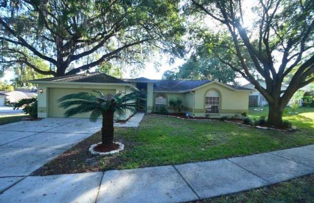 2348 ROTHENFELD COURT - 2348 Rothenfeld Court, Land O' Lakes, FL 34639