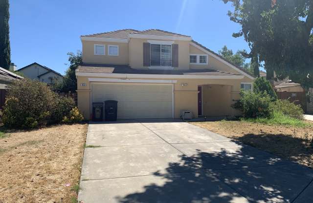 1050 Winter Ct - 1050 Winter Court, Tracy, CA 95376