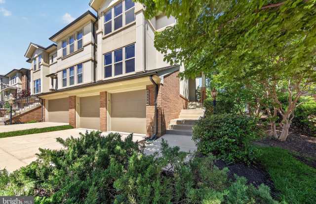 23394 EVENING PRIMROSE Square Gallery 2