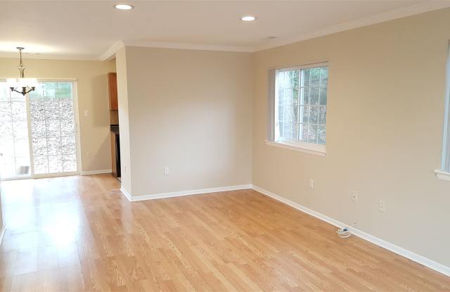 11467 Stoney Point Pl Gallery 3