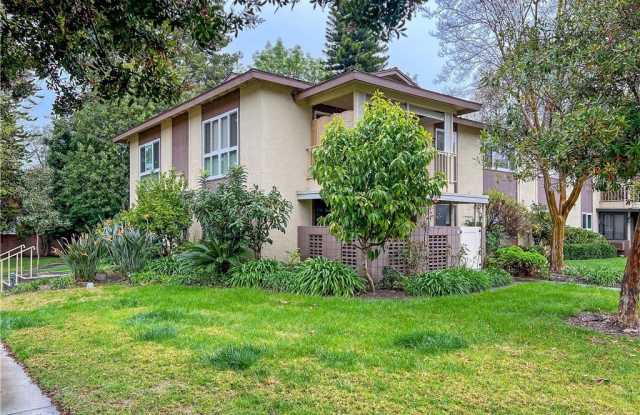 835 Ronda Sevilla photos photos