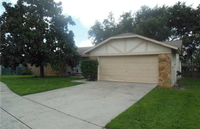 557 RAPID FALLS DRIVE - 557 Rapid Falls Drive, Brandon, FL 33511