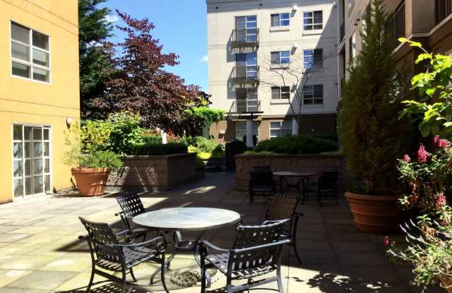 Beautiful Unit in Downtown Bellevue! photos photos