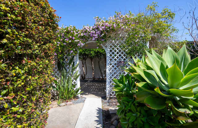 Studio in the Heart of La Jolla with a Private Patio photos photos