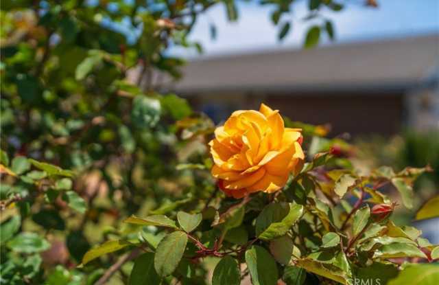 17482 Bellport Circle Gallery 2