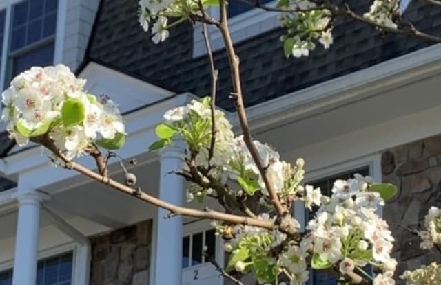 2d Foley Sq - 2 Foley Place, New Providence, NJ 07974