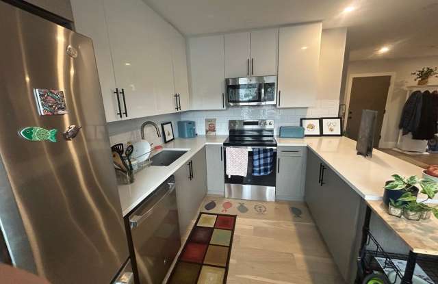 No Broker Fee | Bright 1 Bed in Brighton | Available 9/1 Gallery 4