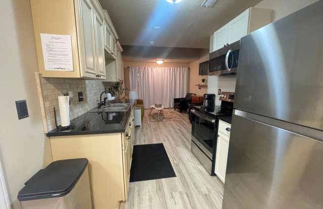 Furnished 2 bedroom 2 bath Condo - Apartment in a Gated Community, Blue Eye, MO, Near Branson, MO photos photos