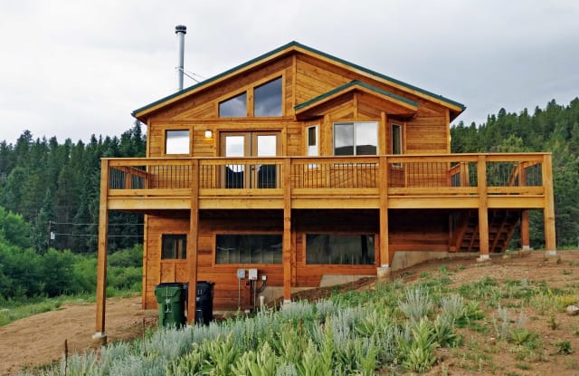 1328 Clark Rd - 1328 Clark Rd, Park County, CO 80421