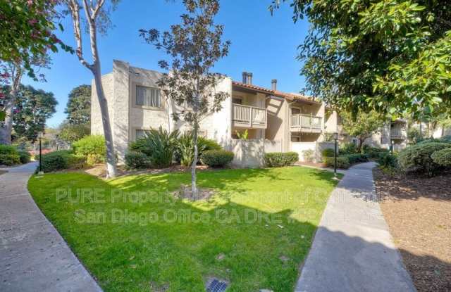 9909 Azuaga st photos photos