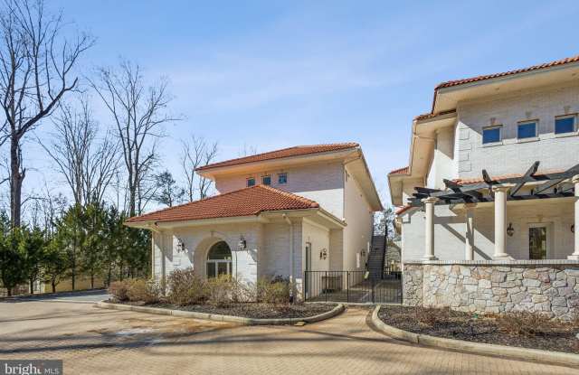 8606 CATHEDRAL FOREST DRIVE photos photos