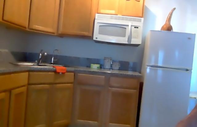 4132 West Garden Drive - 4132 West Garden Drive, Phoenix, AZ 85029