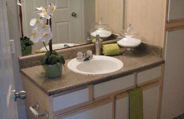 Campeche Cove photos photos