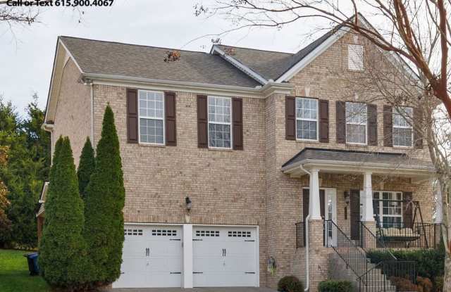 Stunning luxury home in McKay's Mill w/ neighborhood pool, fitness, walking trails and so much more! photos photos