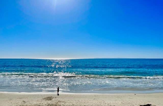609 Sleepy Hollow Lane - 609 Sleepy Hollow Lane, Laguna Beach, CA 92651