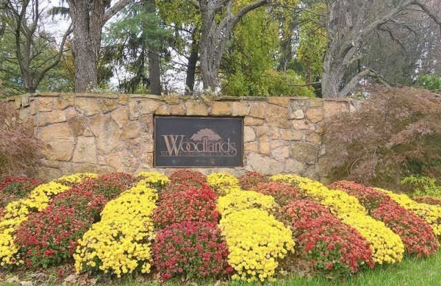 44 Mullarkey Dr photos photos