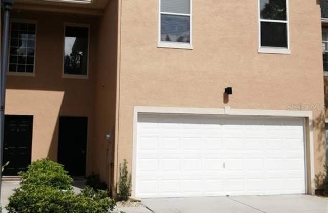 16310 FAIRFORD PALMS COURT - 16310 Fairford Palms Court, Tampa, FL 33647