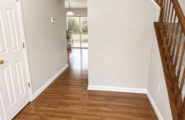 29 PALACE Lane Gallery 2
