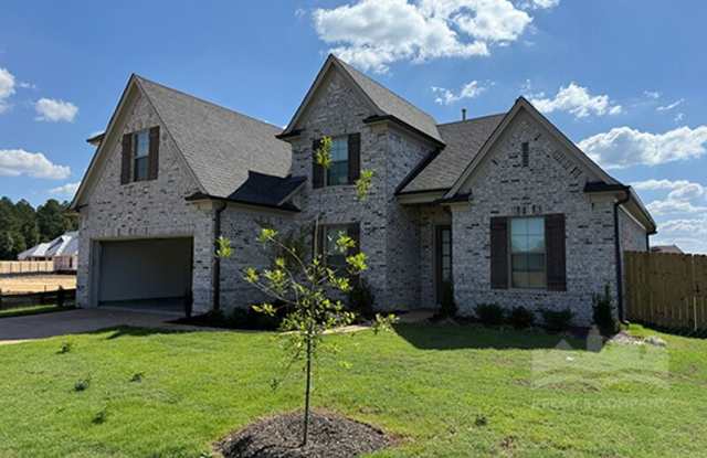 340 Chesnut Ridge Cv - 340 Chestnut Ridge Cv, Oakland, TN 38060
