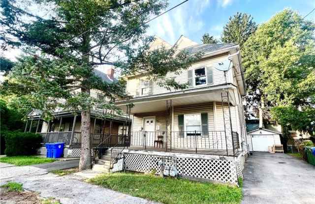 15 Eldred Street photos photos