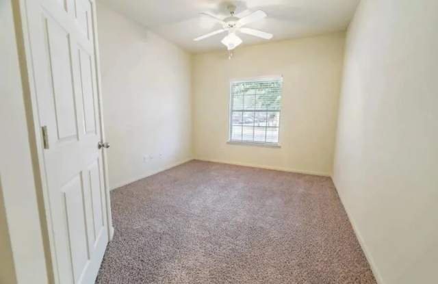 Buena Vista photos photos