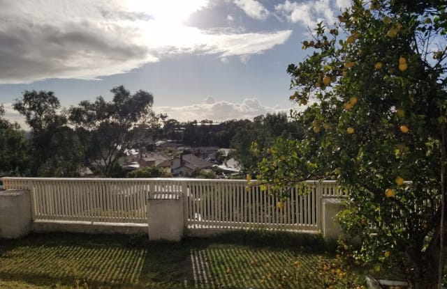 520 Palmwood Drive - 520 Palmwood Drive, San Diego, CA 92139