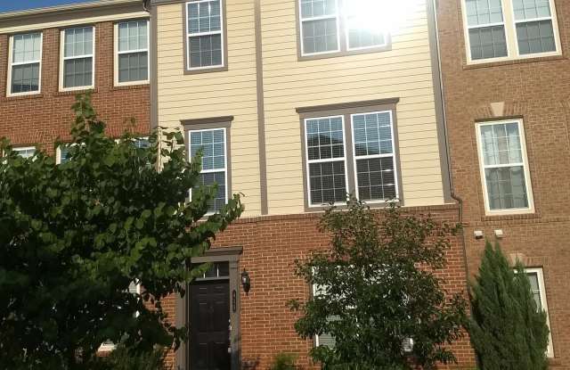 415 HEARTLEAF TERRACE SE - 415 Heartleaf Terrace Southeast, Leesburg, VA 20175