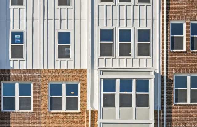 19874 YELLOW DAISY Terrace photos photos