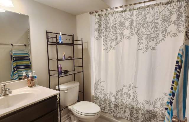 13224 Dowdens Ridge Dr Gallery 3