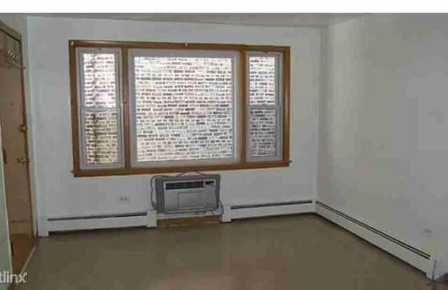 10955 S Vernon Ave 1W - 10955 South Vernon Avenue, Chicago, IL 60628