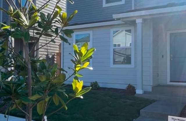 NEW CONSTRUCTION 4 Bed, 2 Bath DR Horton Home – Prime Location, Quiet Neighborhood, Fenced Yard & Irrigated Sod Lawn Gallery 4