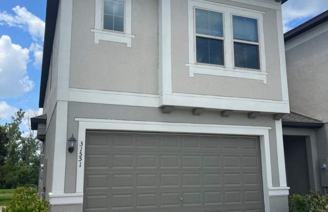 31551 Blue Passing Loop Wesley Chapel, FL 33545 - 31551 Blue Passing Loop, Wesley Chapel, FL 33545 31551 Blue Passing Loop Wesley Chapel, FL 33545 - 31551 Blue Passing Loop, Wesley Chapel, FL 33545